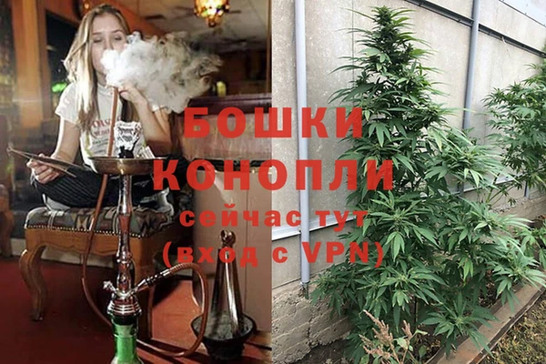 spice Баксан
