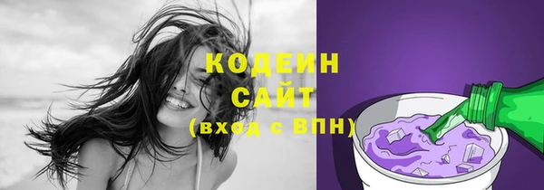 хмурый Новозыбков
