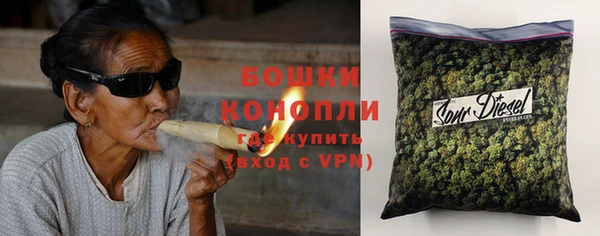 хмурый Новозыбков