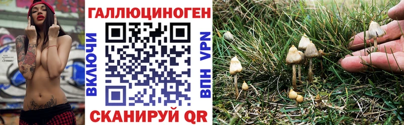 Псилоцибиновые грибы мухоморы  Голицыно 